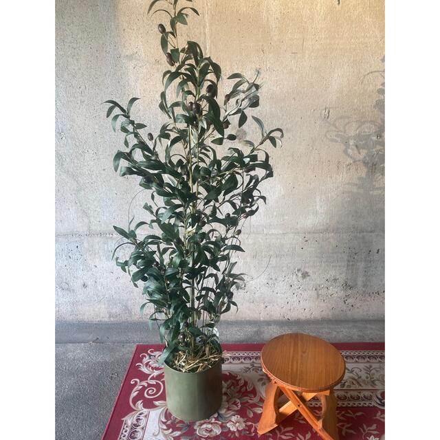 光触媒 人工観葉植物 ウォールグリーン フェイクグリーン 光触媒 人工観葉植物 ウォールグリーン フェイクグリーン