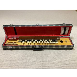 ふそう楽器 菊八重 大正琴 F28JSの通販 by みかん's shop|ラクマ