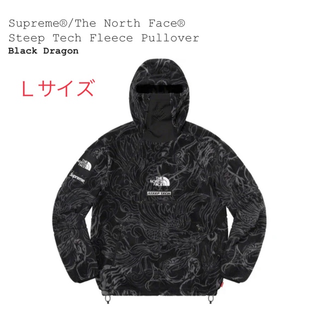 Supreme North Face Steep Tech Fleece L-