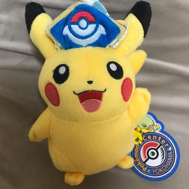 ポケモンセンター　マイピカチュウ　キャプテン　メス　レア