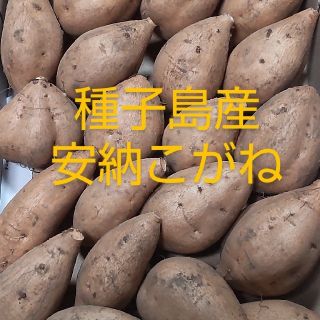 種子島産　安納こがね　　　　　　　ミニ〜2Sサイズ混合1キロ(野菜)