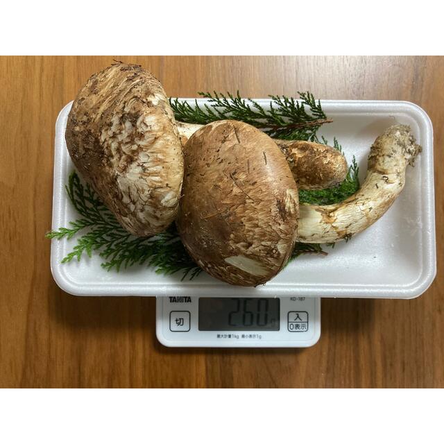 信州産　松茸　傘開き2本　250g