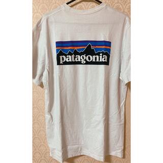 パタゴニア(patagonia)のパタゴニア　Tシャツ　M(Tシャツ/カットソー(半袖/袖なし))