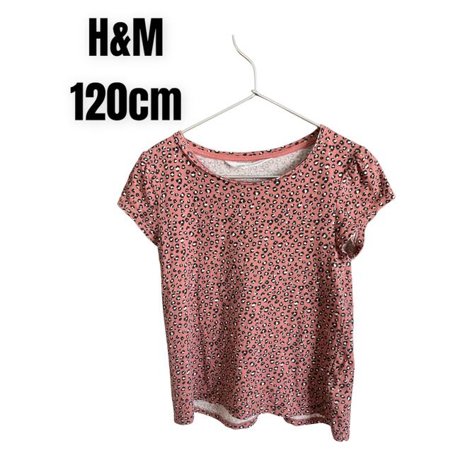 H&M(エイチアンドエム)の13. H&M キッズ　ヒョウ柄 キッズ/ベビー/マタニティのキッズ服女の子用(90cm~)(Tシャツ/カットソー)の商品写真