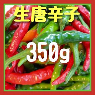 生唐辛子350g(野菜)