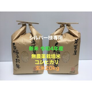 シルバー様専用 新米 無農薬コシヒカリ玄米20kg(5kg×4)令和4年徳島県産(米/穀物)