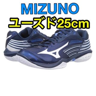 ミズノ(MIZUNO)のMIZUNO ミズノ バドミントン シューズ ウエーブクロー 2(バドミントン)