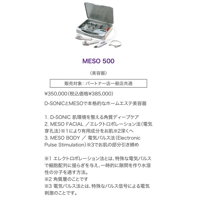 緊急値下げ!エステツイン MESO 500 + エステツインLv | www