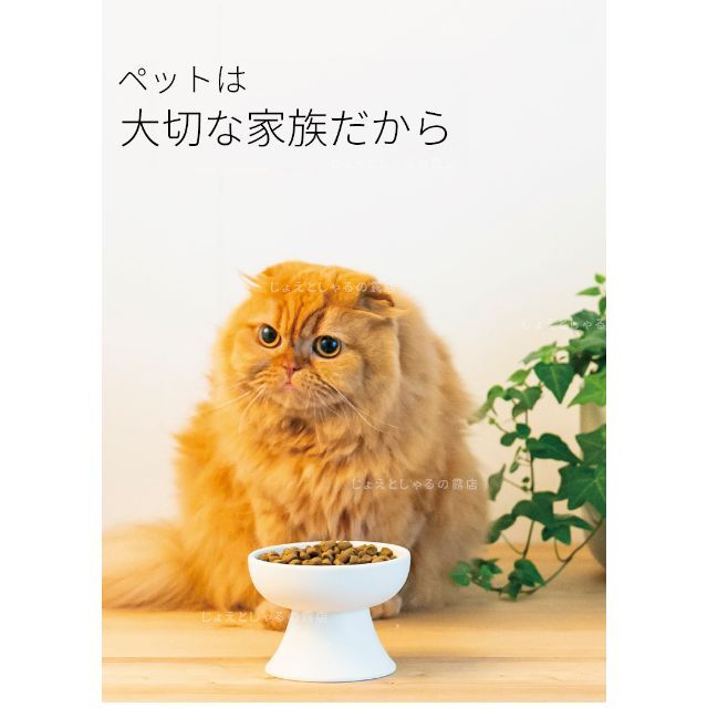 【白1点】陶器製フードボウル 猫犬  ペット用食器 おやつ 餌入れ 水 餌皿 その他のペット用品(猫)の商品写真