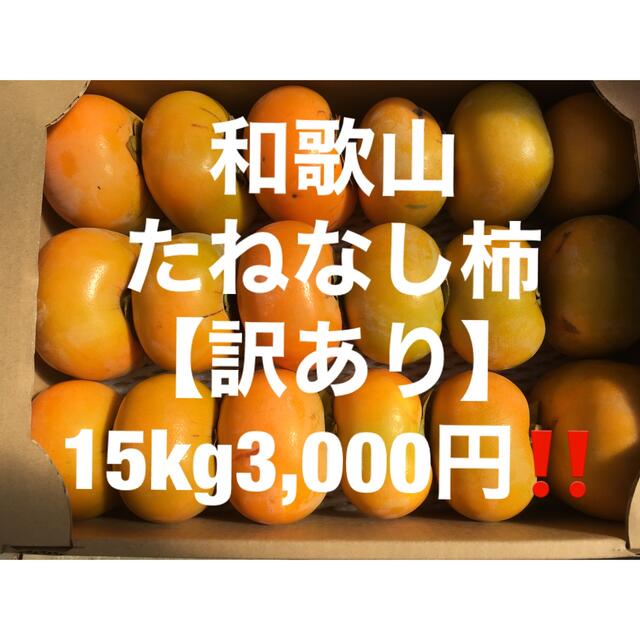 柿　中谷早生　10キロ 以上　ご家庭用