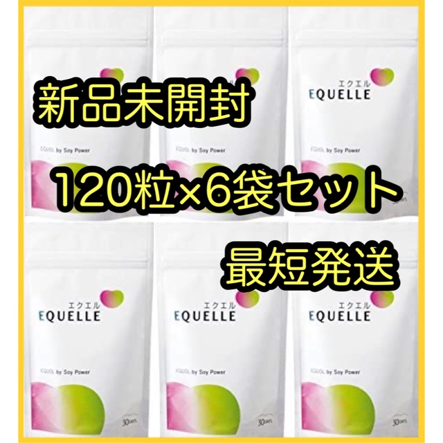 【新品未開封】エクエルパウチ 120粒 6袋セット（エクエル パウチ）EQUELLEエクエルパウチ