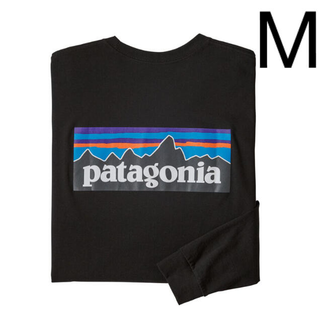 patagonia - パタゴニア P-6 レスポンシビリティー ロンT 新品 M ...