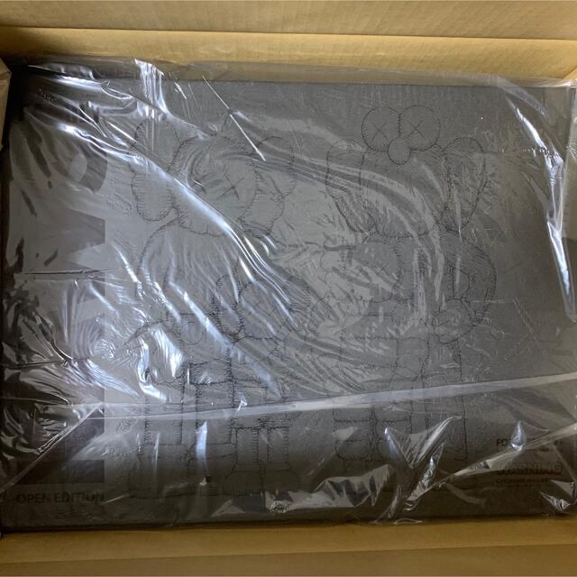 KAWS FAMILY BLACK KAWS TOKYO FIRST 2