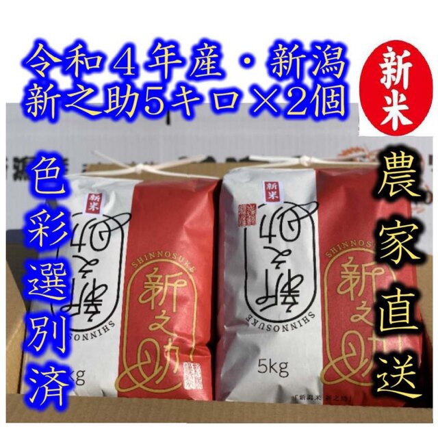 新之助　白米5kg✖️2個☆農家直送☆色彩選別済19　新潟　新米・令和4年産　米/穀物