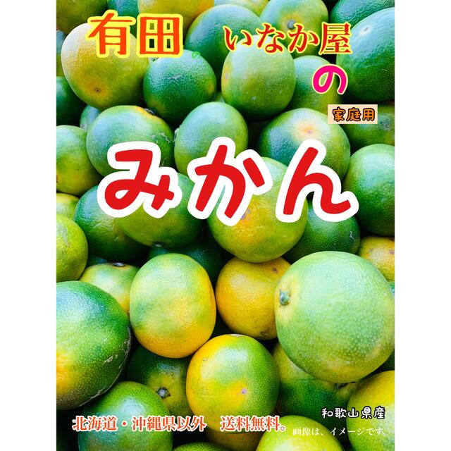 数量限定　早い者勝ち　和歌山県産　有田　家庭用　みかん　早生　極早生　オレンジ 食品/飲料/酒の食品(フルーツ)の商品写真