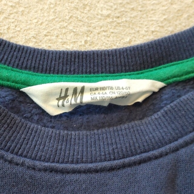 H&M(エイチアンドエム)のH&M 恐竜 裏起毛 スパンコール トレーナー 110cm 120cm キッズ/ベビー/マタニティのキッズ服女の子用(90cm~)(Tシャツ/カットソー)の商品写真