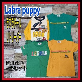 ラブラドールリトリーバー(Labrador Retriever)の★ラクマ限定特価★ラブラドールリトリーバー 子供服 120 4点セット(Tシャツ/カットソー)