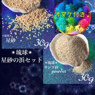 琉球*海のたね　星砂の浜 セット　　星砂　星の砂　サンゴ砂(各種パーツ)