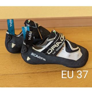 スカルパ(SCARPA)のscarpa Dorago ボルダリングシューズ(その他)