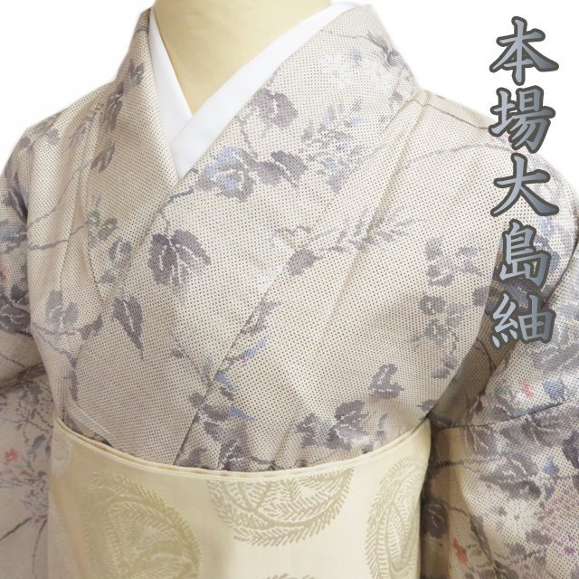 本場 大島紬 ラベル付き 花模様 白茶色 多色 着物 A773-8L 【中古