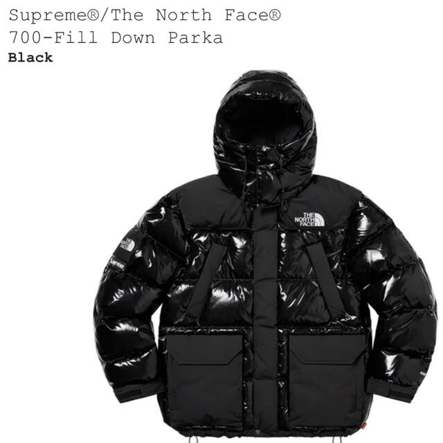 supreme north face 700 fill down parka