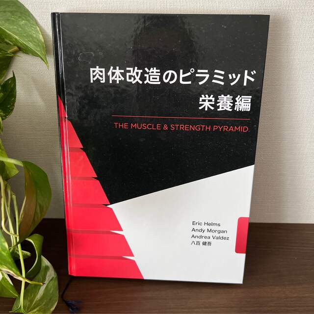 肉体改造のピラミッド 栄養編 【良好品】 bieglechitow.pl