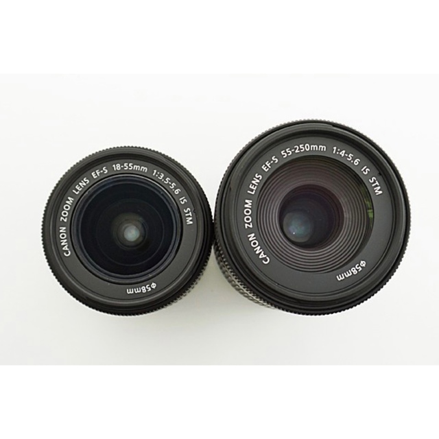 ☆極美品/付属品完品☆Canon キヤノンEOS 8000D ダブルズーム