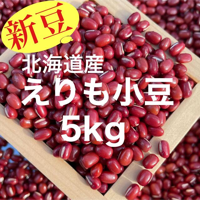 新豆】北海道産 えりも小豆5kg | visitsantaflavia.it