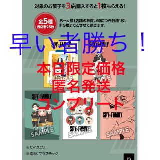 シュウエイシャ(集英社)の【本日限定価格】🥜ローソン✖️SPY×FAMILY🥜クリアファイルコンプリート🥜(クリアファイル)