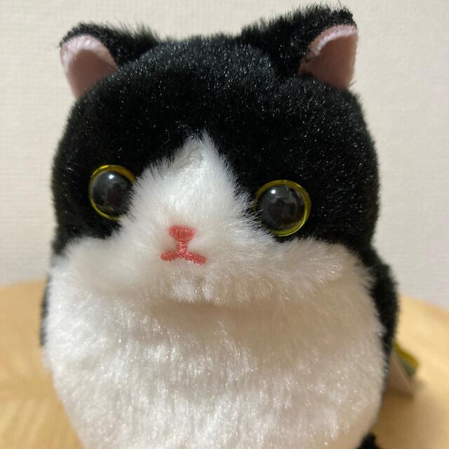 ハチワレねこのモリー ぬいぐるみ タビー - 通販 - www