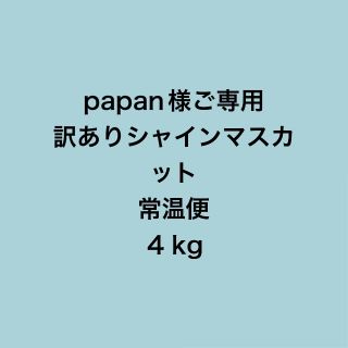 papan様ご専用　訳ありシャインマスカット4kg(フルーツ)