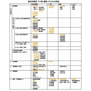 看護師 Ns Nrs 実習 看護計画 経過記録 疾患別特徴 関連図 USB発送(健康/医学)