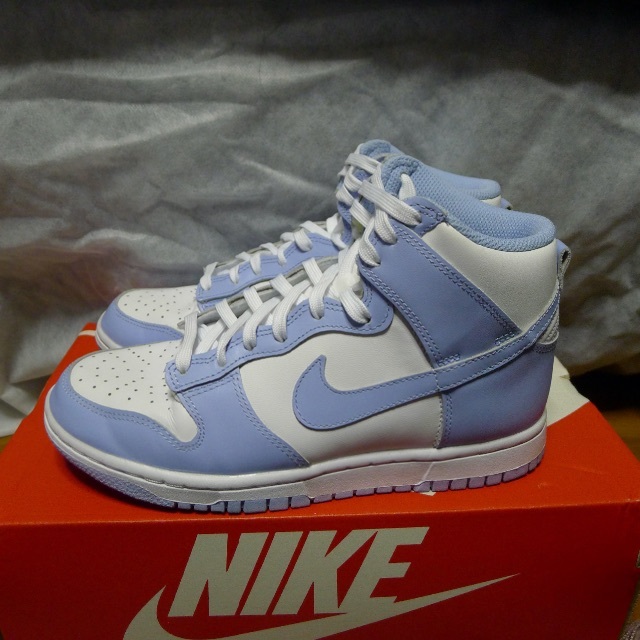 24cmNIKE WMNS DUNK HI ALUMINUM