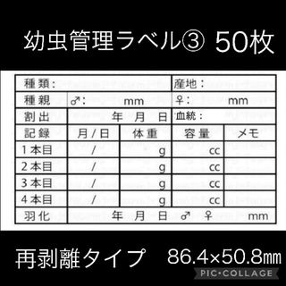 幼虫管理ラベル③ 10面5シート 再剥離タイプ クワガタ オオクワガタ カブト(虫類)