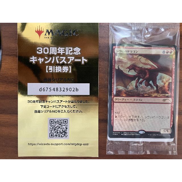 MTG シヴ山のドラゴン 30周年 キャンバスアート 仙田聡 シリアル