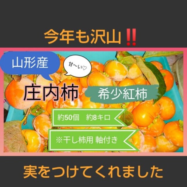 柿 50個 8キロ 渋柿 干し柿用 果物 山形 庄内柿 新鮮なブルーム付 食品/飲料/酒の食品(フルーツ)の商品写真