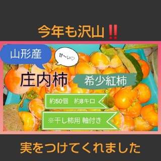 柿 50個 8キロ 渋柿 干し柿用 果物 山形 庄内柿 新鮮なブルーム付(フルーツ)