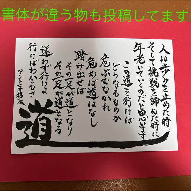 ポリカーボネイト製キッチンポット ☆道(みち)!新・アントニオ猪木