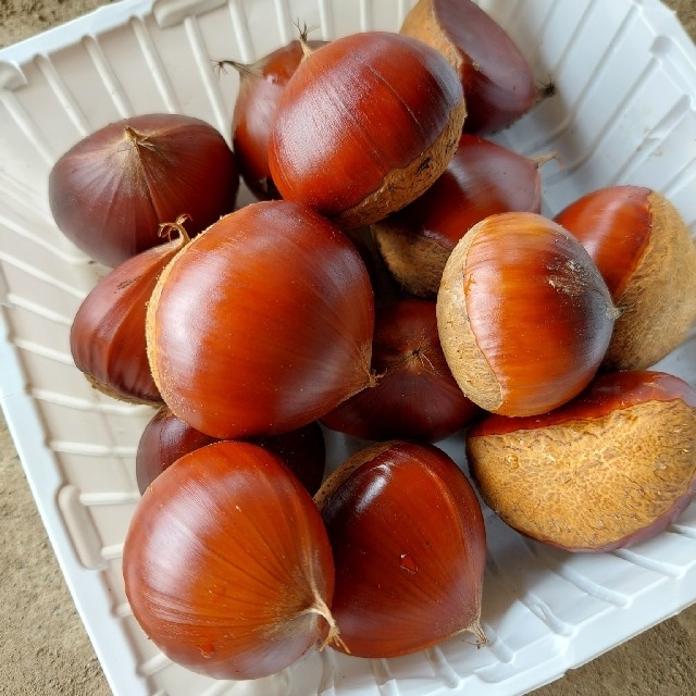 野菜おまかせ詰め合わせBOX【SS】 食品/飲料/酒の食品(野菜)の商品写真