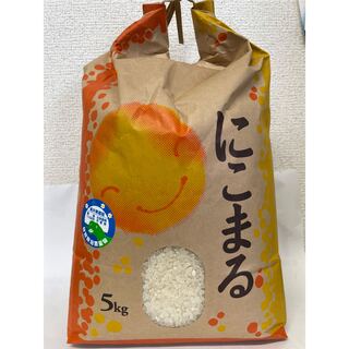 令和4年産 福井県越前市産にこまる精米10キロ 特別栽培米(米/穀物)