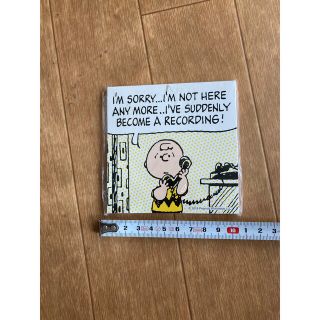 ピーナッツ(PEANUTS)のピーナッツ　チャーリーブラウン　メモ帳(キャラクターグッズ)