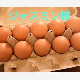 ジャスミン様専用　平飼いたまご30個(野菜)