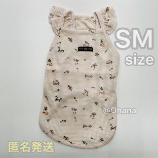 新品 犬服 小花柄ワッフルタンク SM(犬)