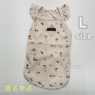 新品 犬服 小花柄ワッフルタンク L(犬)