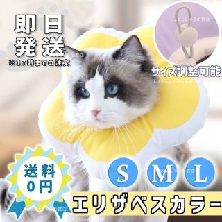 【イエローL】ソフト エリザベスカラー 術後ウェア 猫犬 皮膚病 雄 雌 撥水(猫)