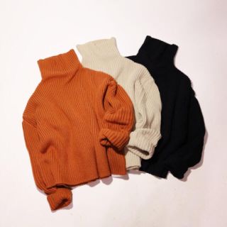 トゥデイフル(TODAYFUL)のTurtle Neck Rib Knit 即日発送可能(ニット/セーター)