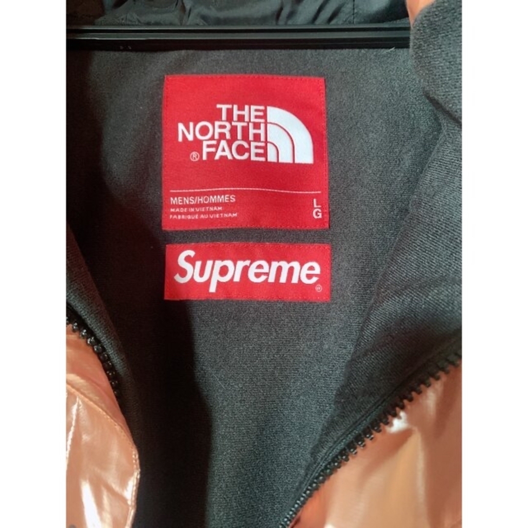 supreme × The North Face Metallic Parka