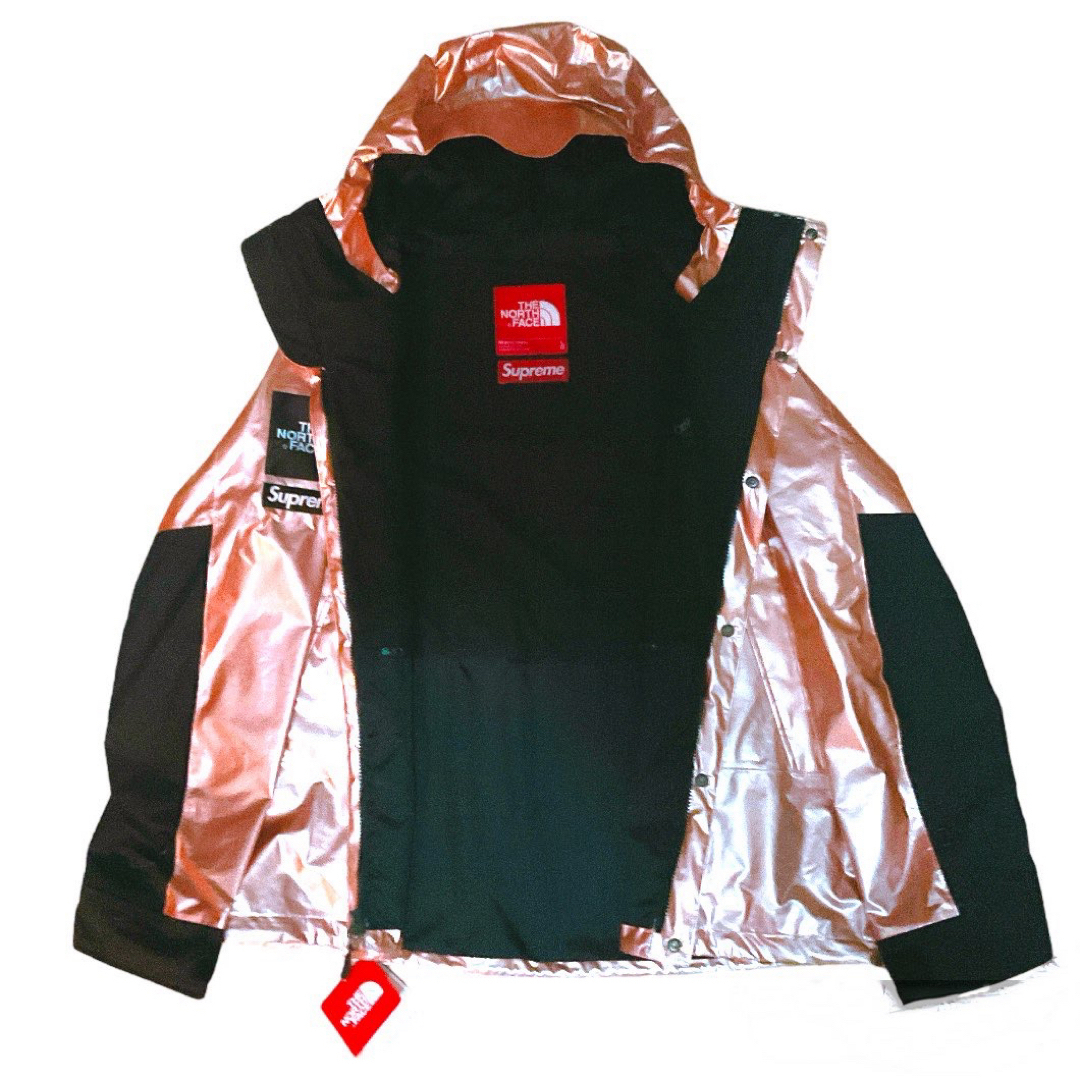 supreme × The North Face Metallic Parka