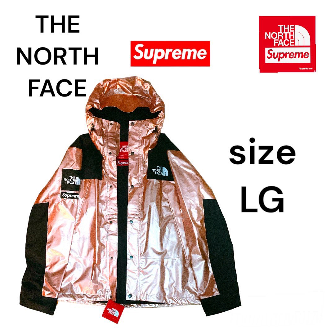 Supreme(シュプリーム)のsupreme × The North Face Metallic Parka  メンズのジャケット/アウター(マウンテンパーカー)の商品写真