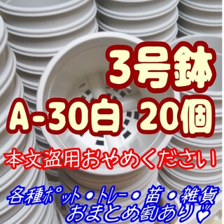 プラ鉢3号鉢【A-30】20個 スリット鉢 丸 プレステラ 多肉植物(プランター)